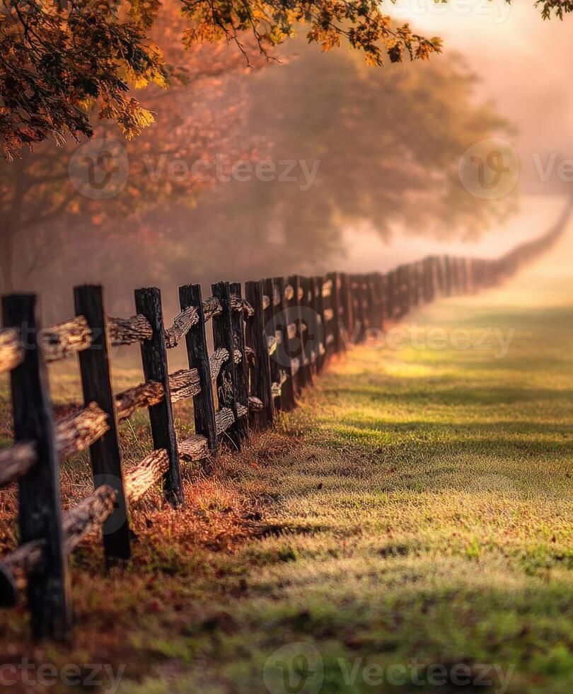 A fence line in the grass with a sun rising in the distance photo