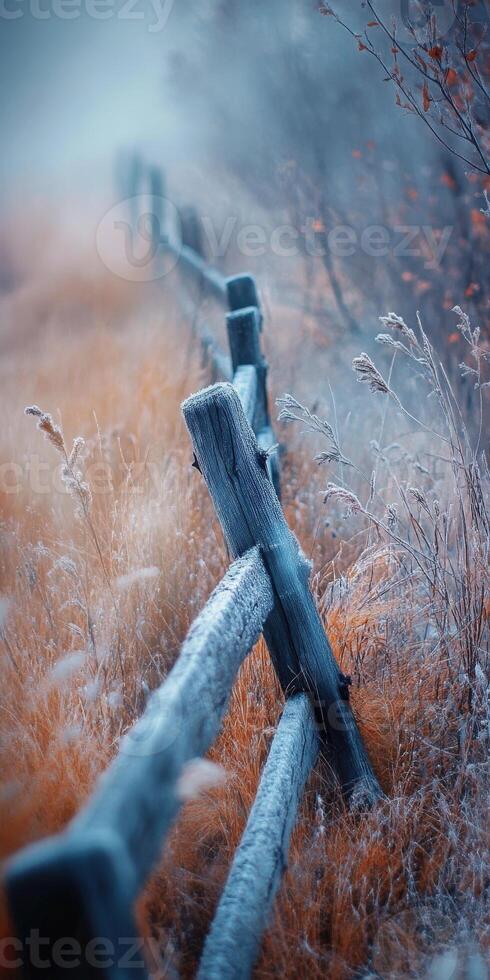 Frosty fence by james kennedy photo