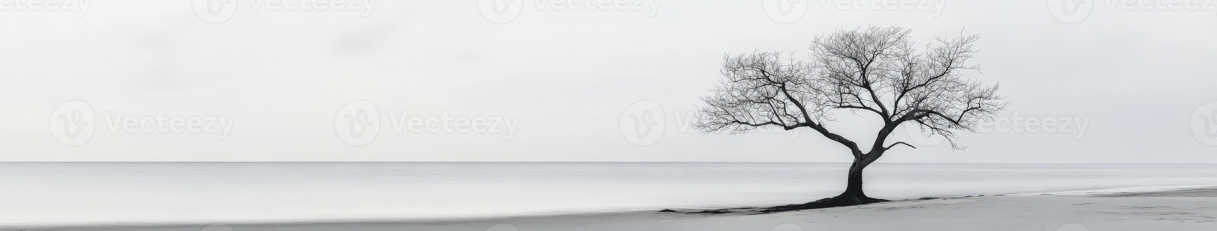 A lone tree stands on the shore of a lake photo