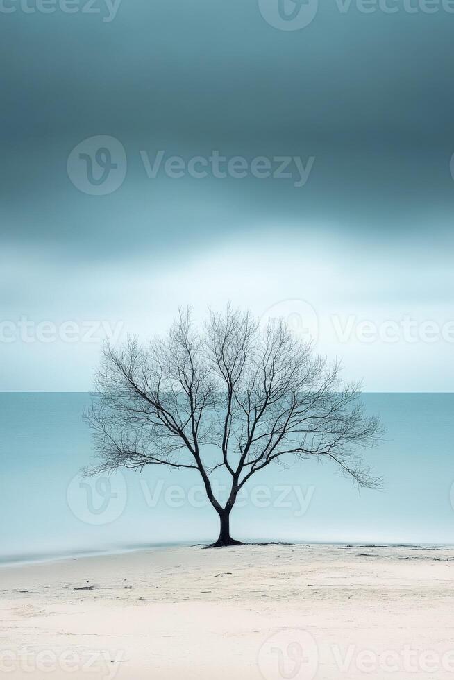 A lone tree stands on the beach under a cloudy sky photo