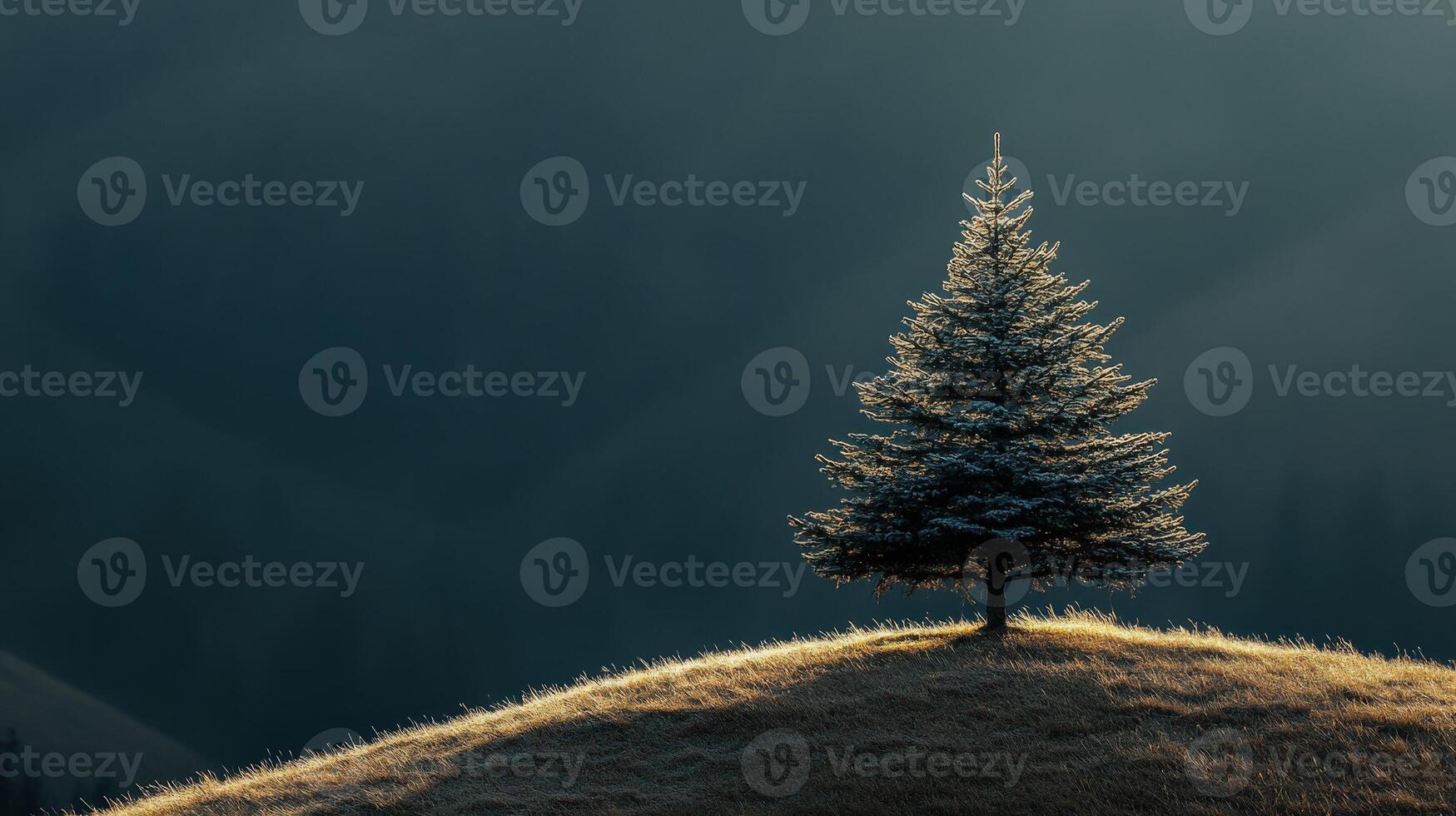 A lone tree stands on top of a hill in the mountains photo