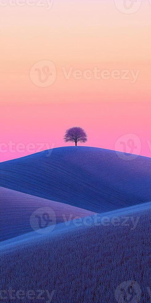 A lone tree stands alone in a field of blue and pink photo