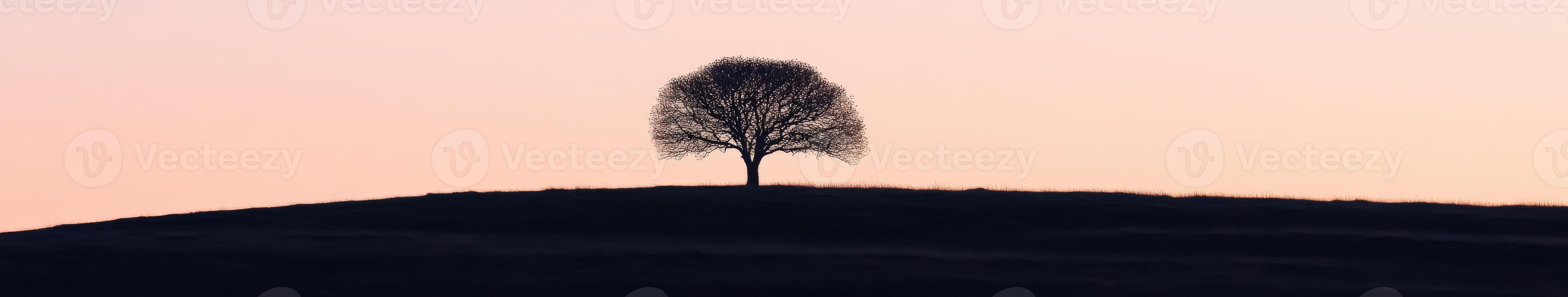 A lone tree stands on top of a hill at sunset photo