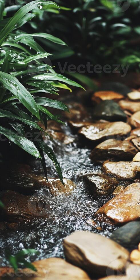 A stream of water flows through a garden photo