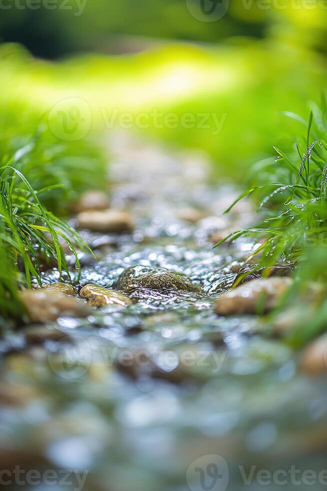 A stream of water flows through a grassy field photo