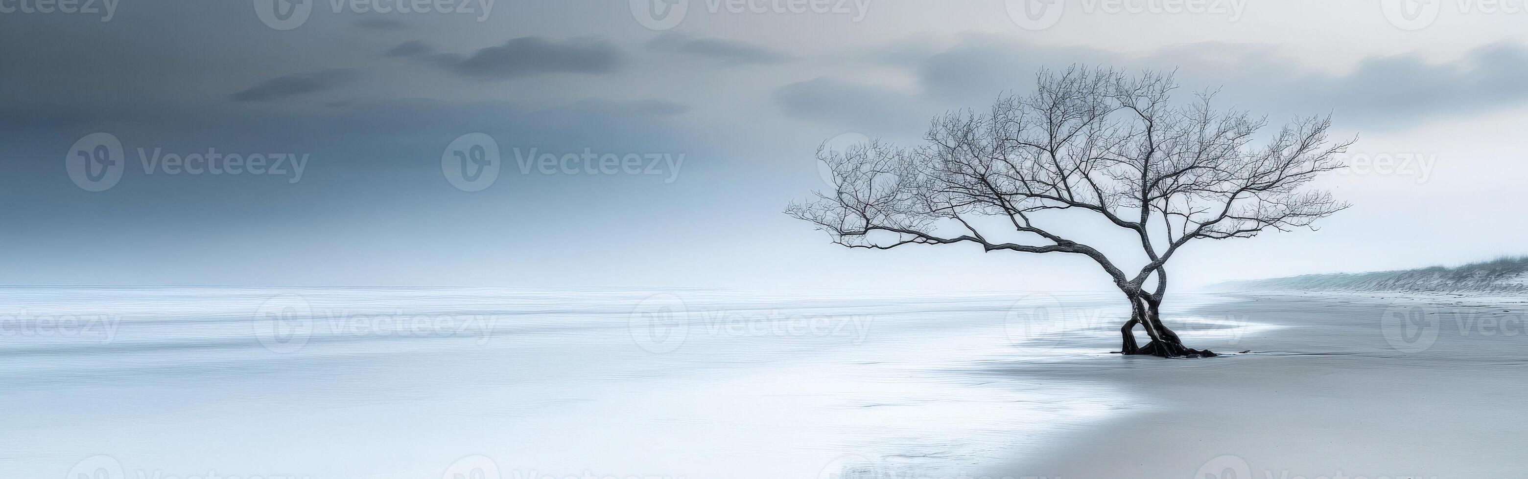 A lone tree stands on the beach in front of a stormy sky photo