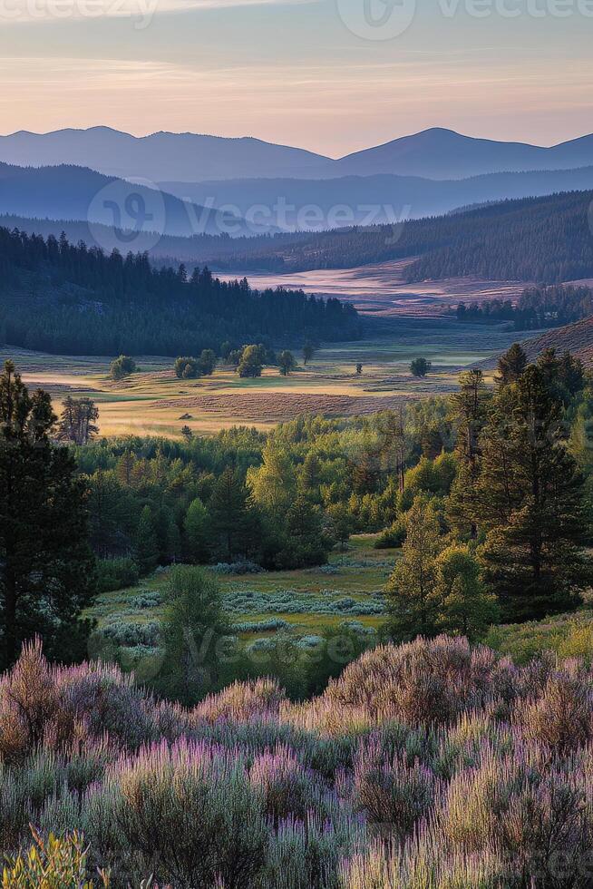 A view of a field with trees and a mountain in the background photo