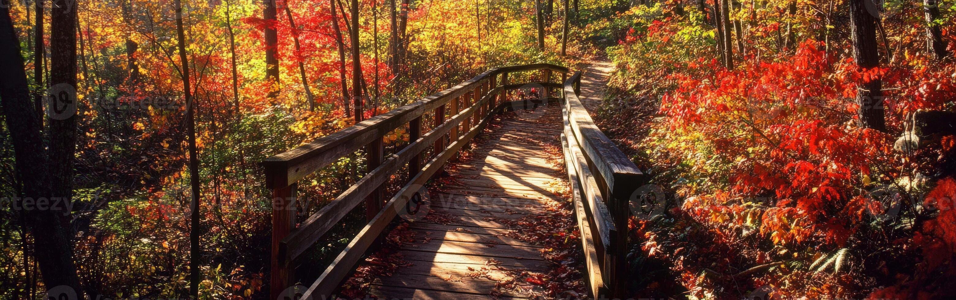 A wooden bridge in the woods with colorful foliage photo