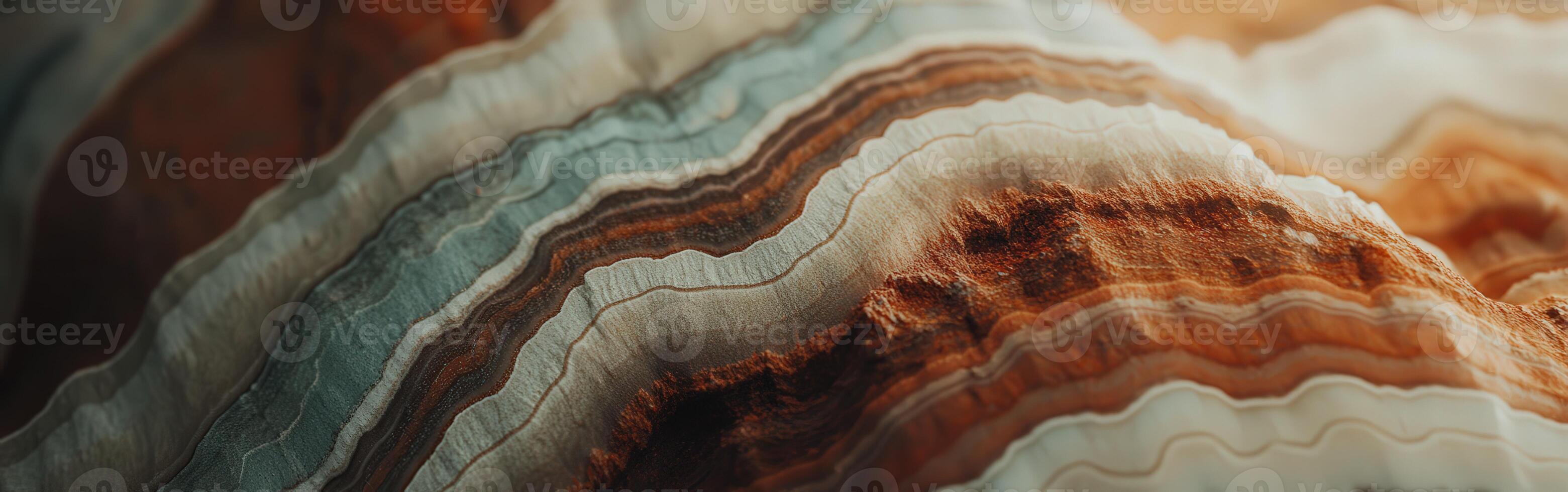 A close up of a rock with a wave pattern photo