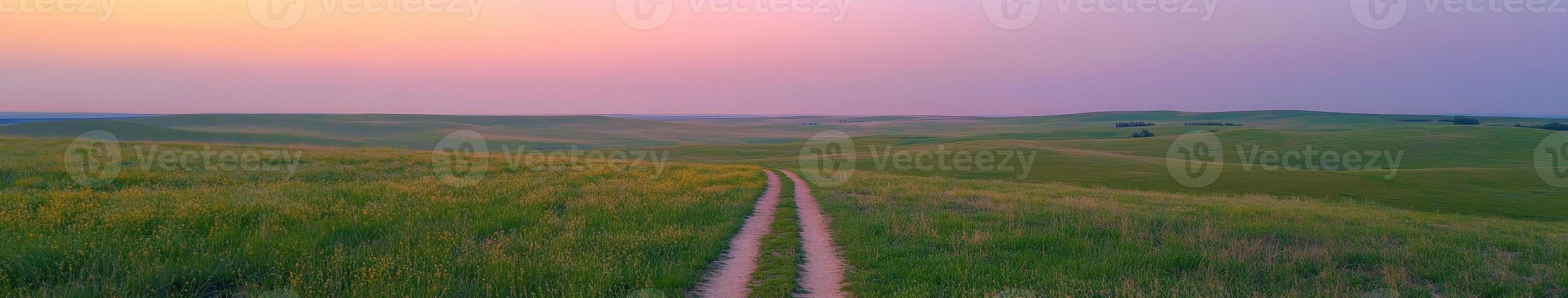 A dirt road runs through a grassy field at sunset photo