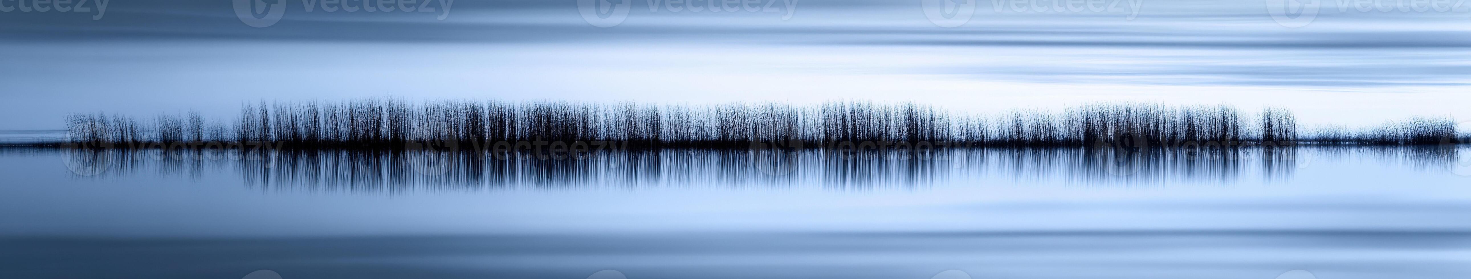 An abstract image of trees in the water photo