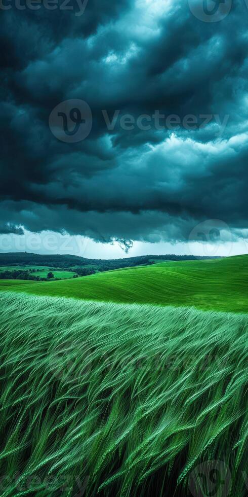 A green field with stormy clouds and green grass photo