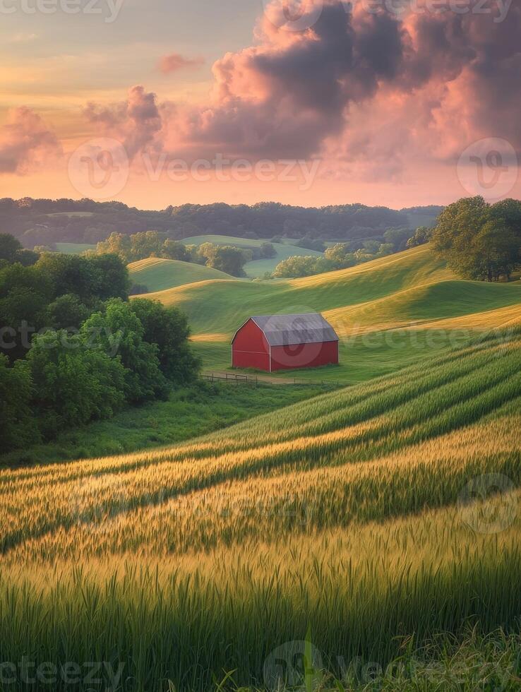 A red barn sits in the middle of a green field photo
