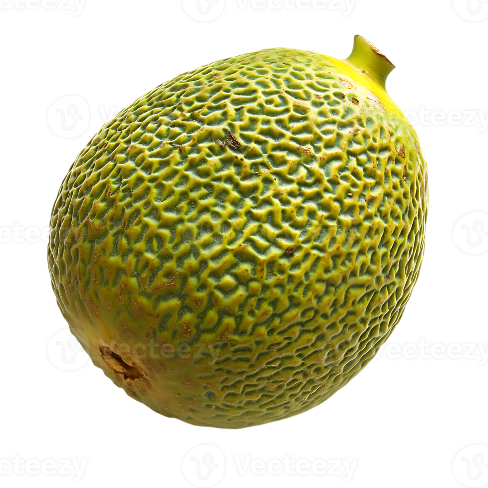 A green fruit is shown on a transparent background png