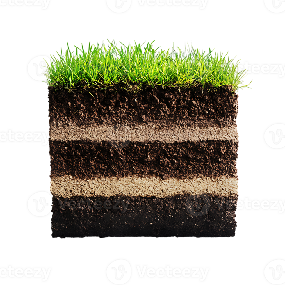 Soil, grass and soil on transparent background png
