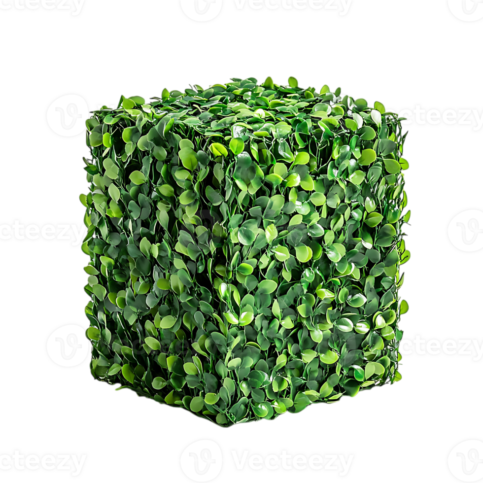 A green box with leaves on it over transparent background png