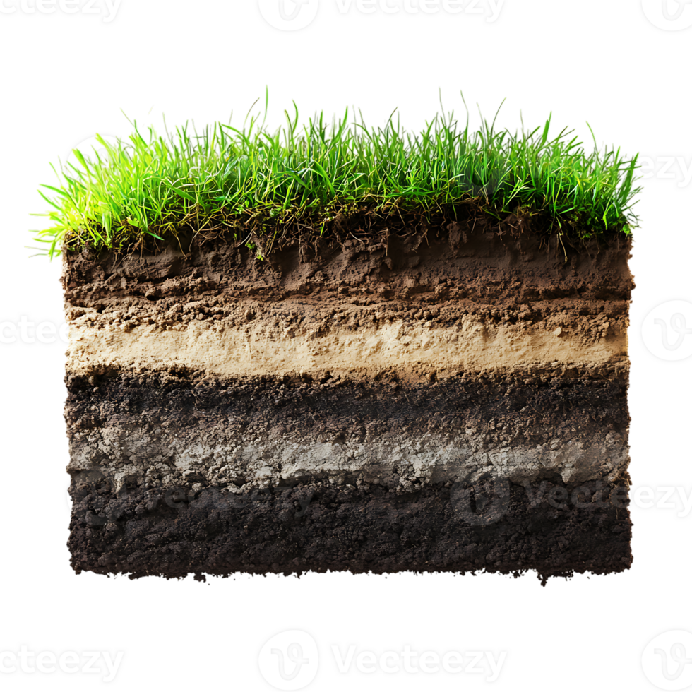 Soil layer with grass and soil on over transparent background png