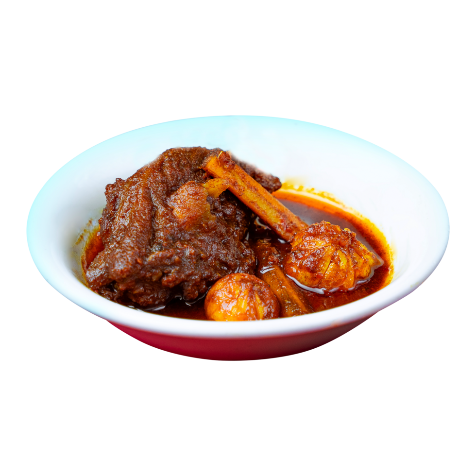Delicious and flavorful meat curry served in a bowl, a comforting meal. png