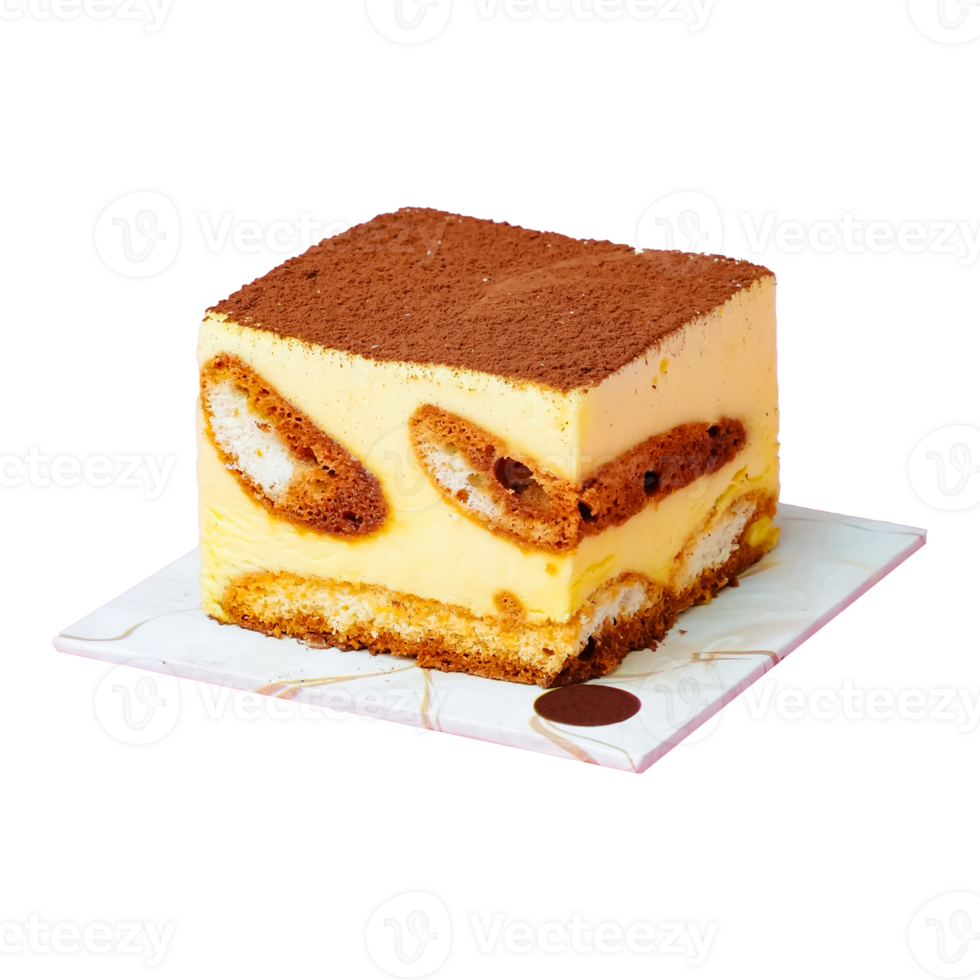 Delicious Square Tiramisu Dessert png