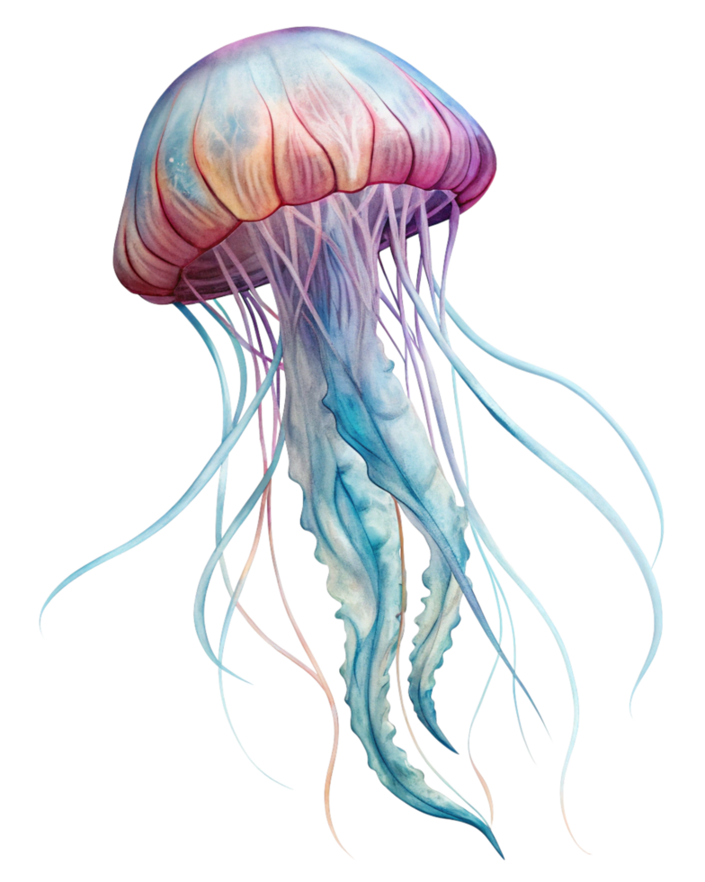 Soothing Jellyfish Floating With Elegant Tentacles in Transparent Background png