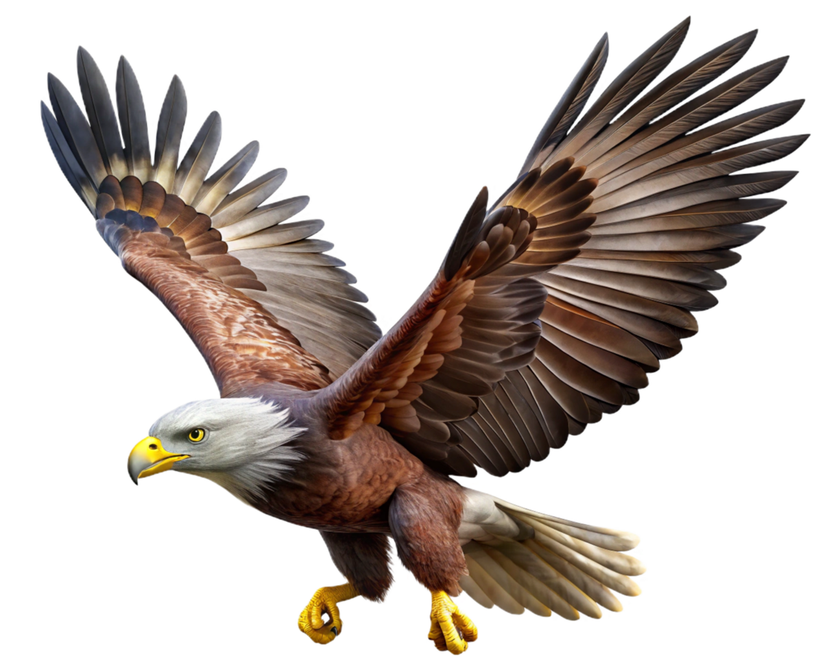 Dynamic Motion Eagle in Transparent Background png