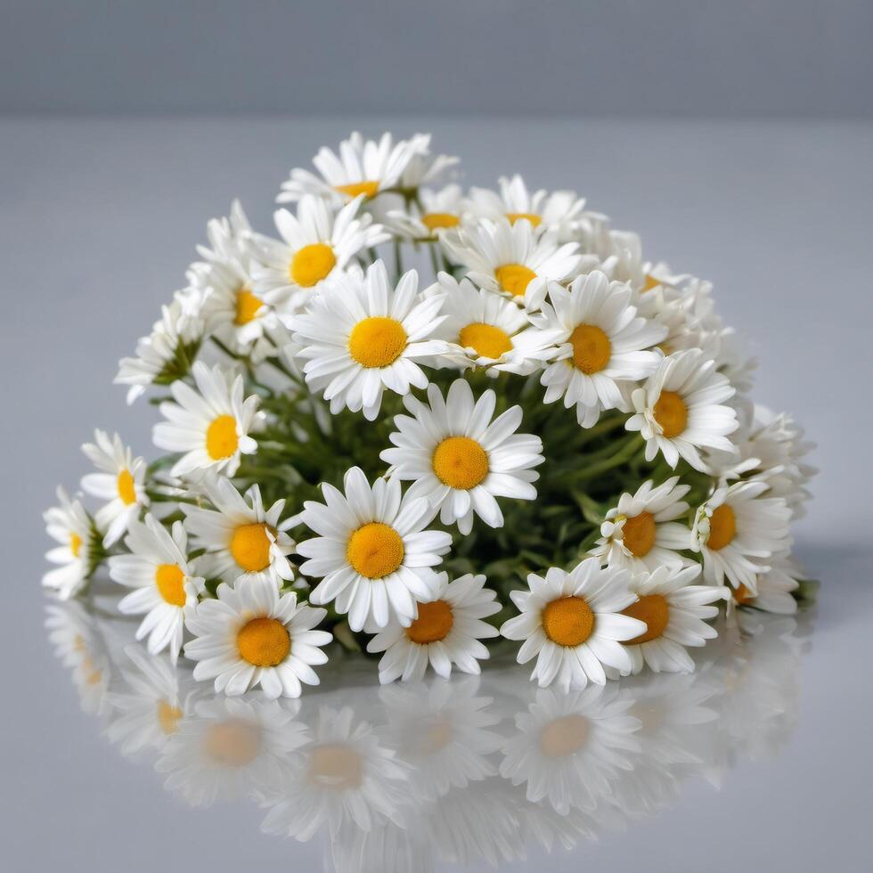 Bouquet of chamomiles on a glossy surface. Daisy flowers. Design element for postcards, gifts, banners photo