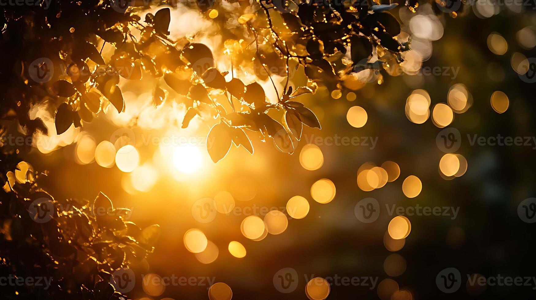 Golden Bokeh Effect Background A Soft and Warm Radiant Glow photo