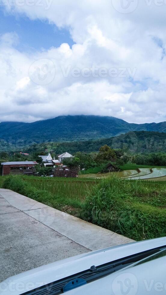 Green scenery in the mountainous area with clouds covering the mountain peaks photo