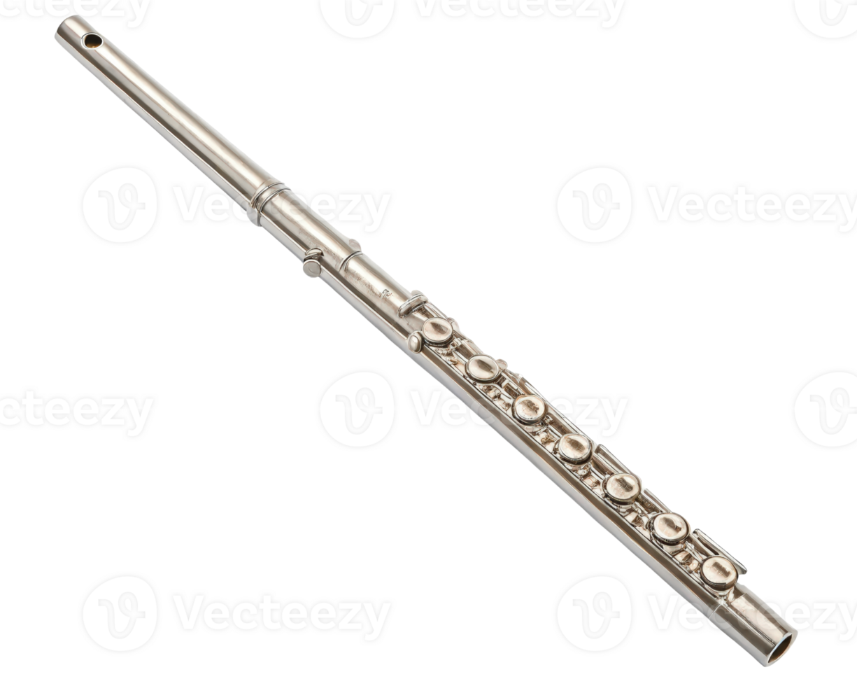 Silver flute on a transparent background png