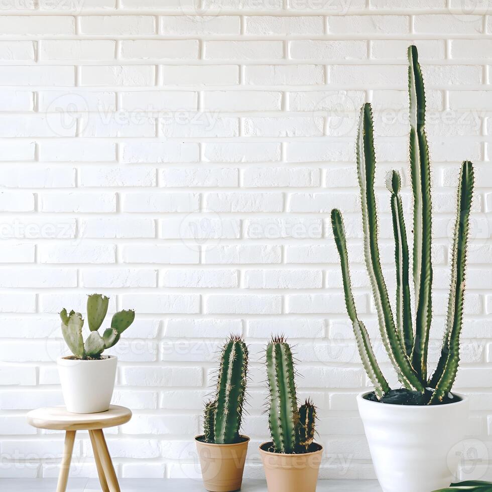 Cactus and succulents in a pot on a white brick wall. Succulents in pots with copy space. Simplisity concept. photo