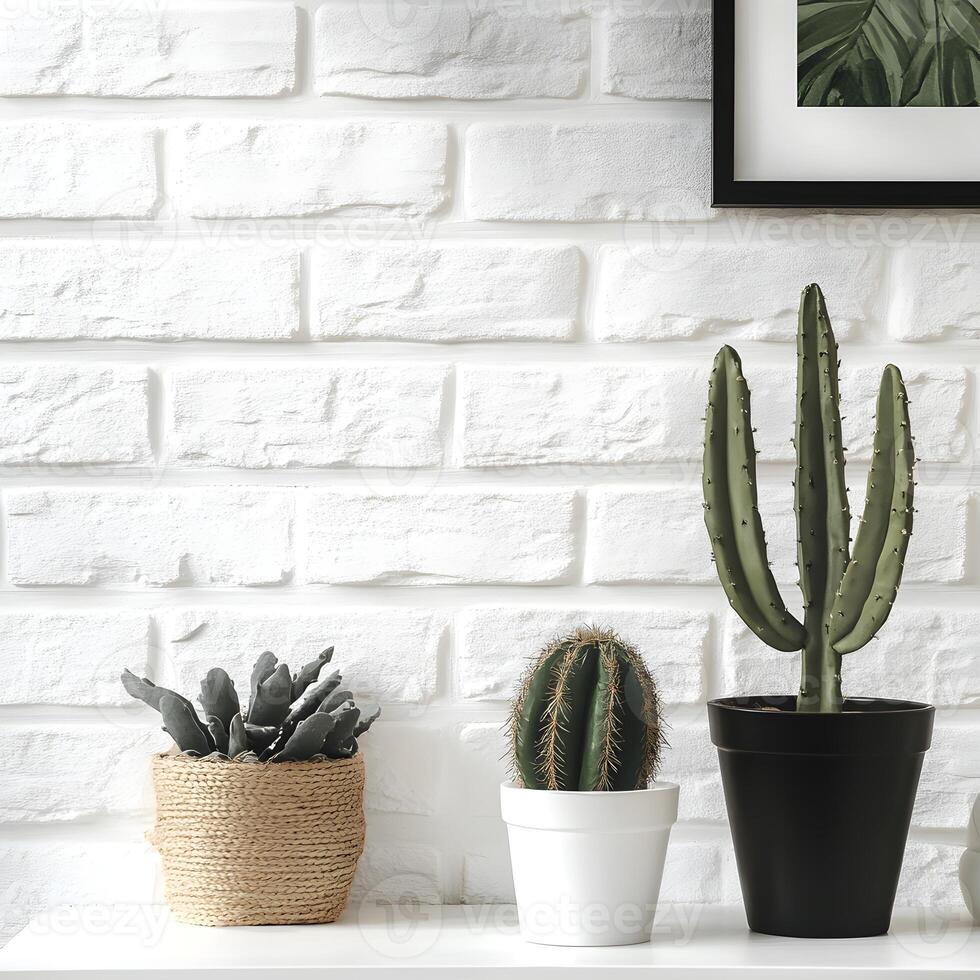 Cactus and succulents plants in a pot on a white brick wall. Succulents in pots with copy space. photo