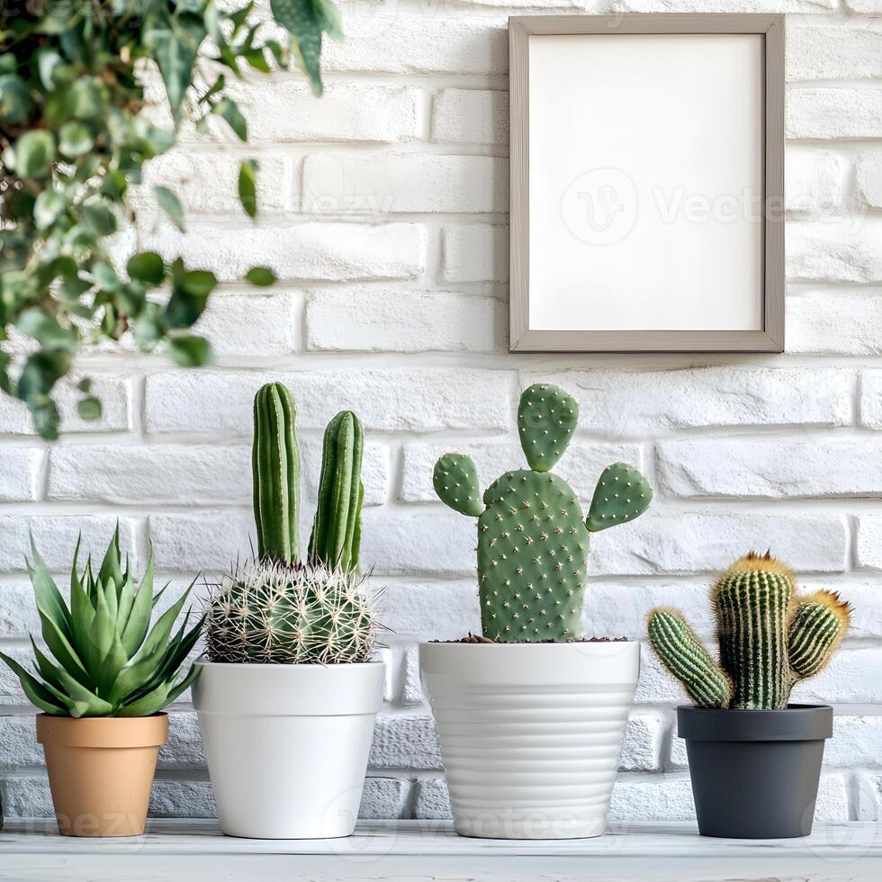 Cactus and succulents in a pot on a white brick wall. Succulents in pots with copy space. photo