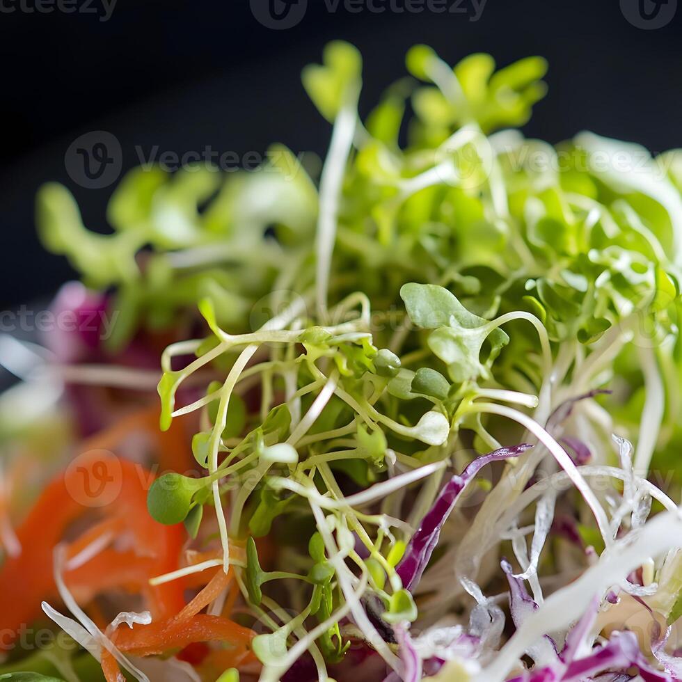 macro shoot Fresh microgreens sprouts in a black bowl on a wooden table. photo