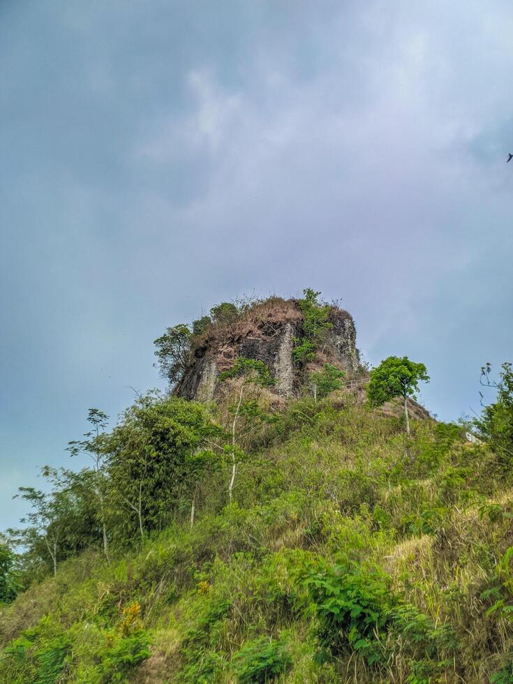 enjoy the view of the carved stone hill from below, which is very beautiful. photo