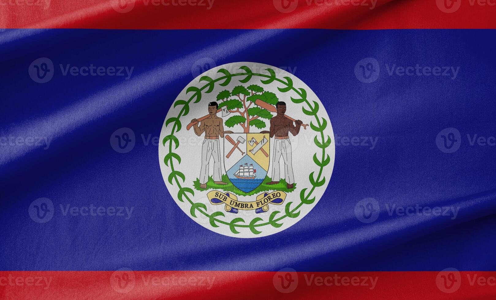 Belize National Flag Waving in the Wind photo