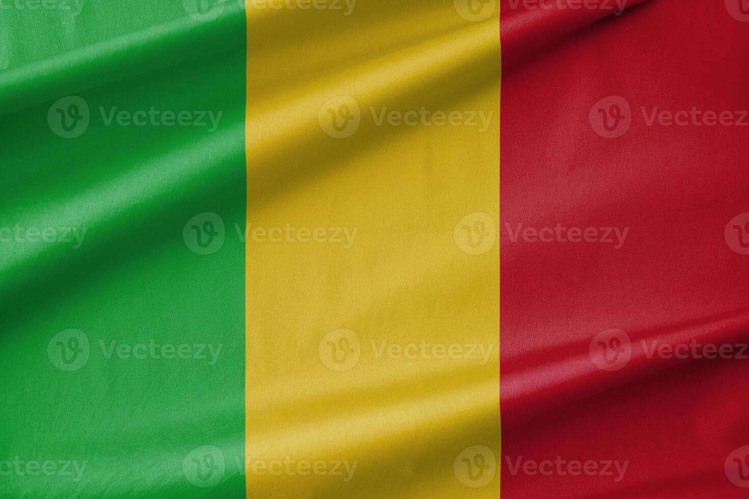 Mali National Flag Waving in the Wind photo