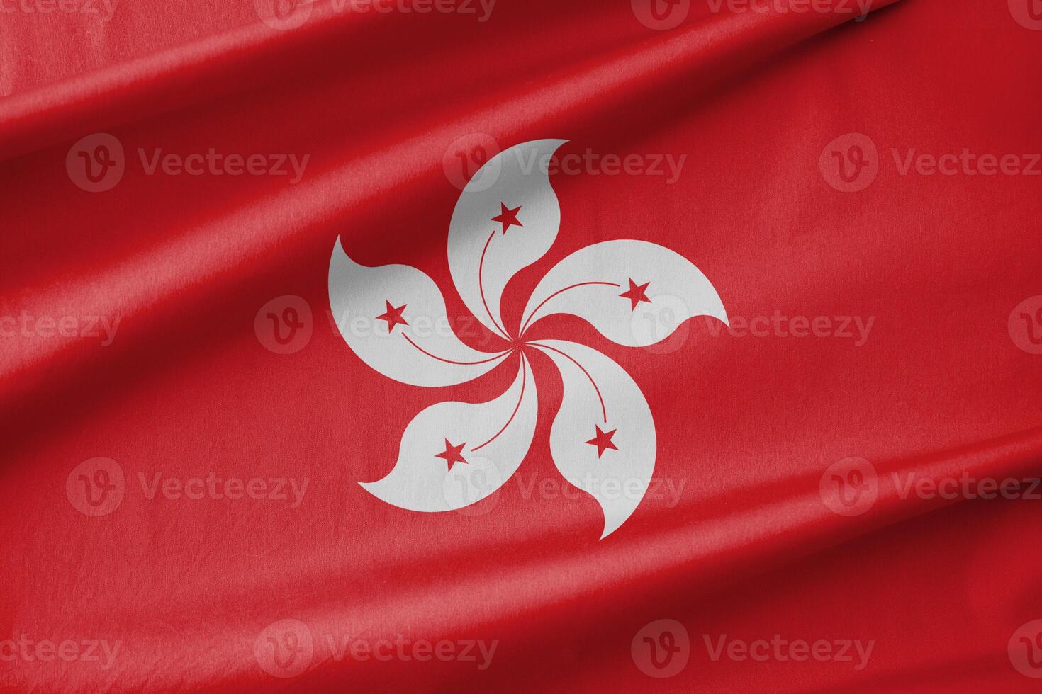 Hong Kong National Flag Waving in the Wind photo