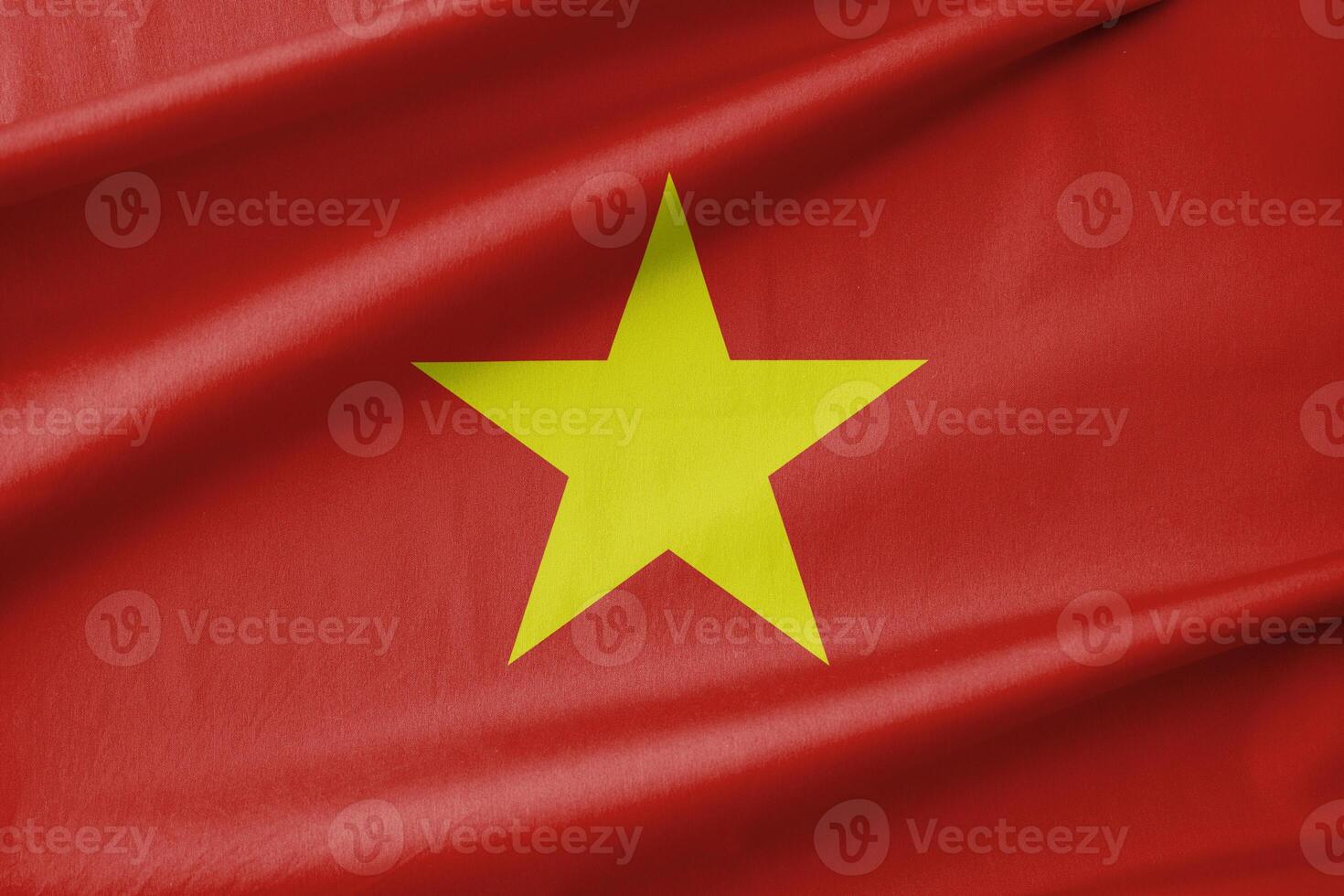 Vietnam National Flag Waving in the Wind photo
