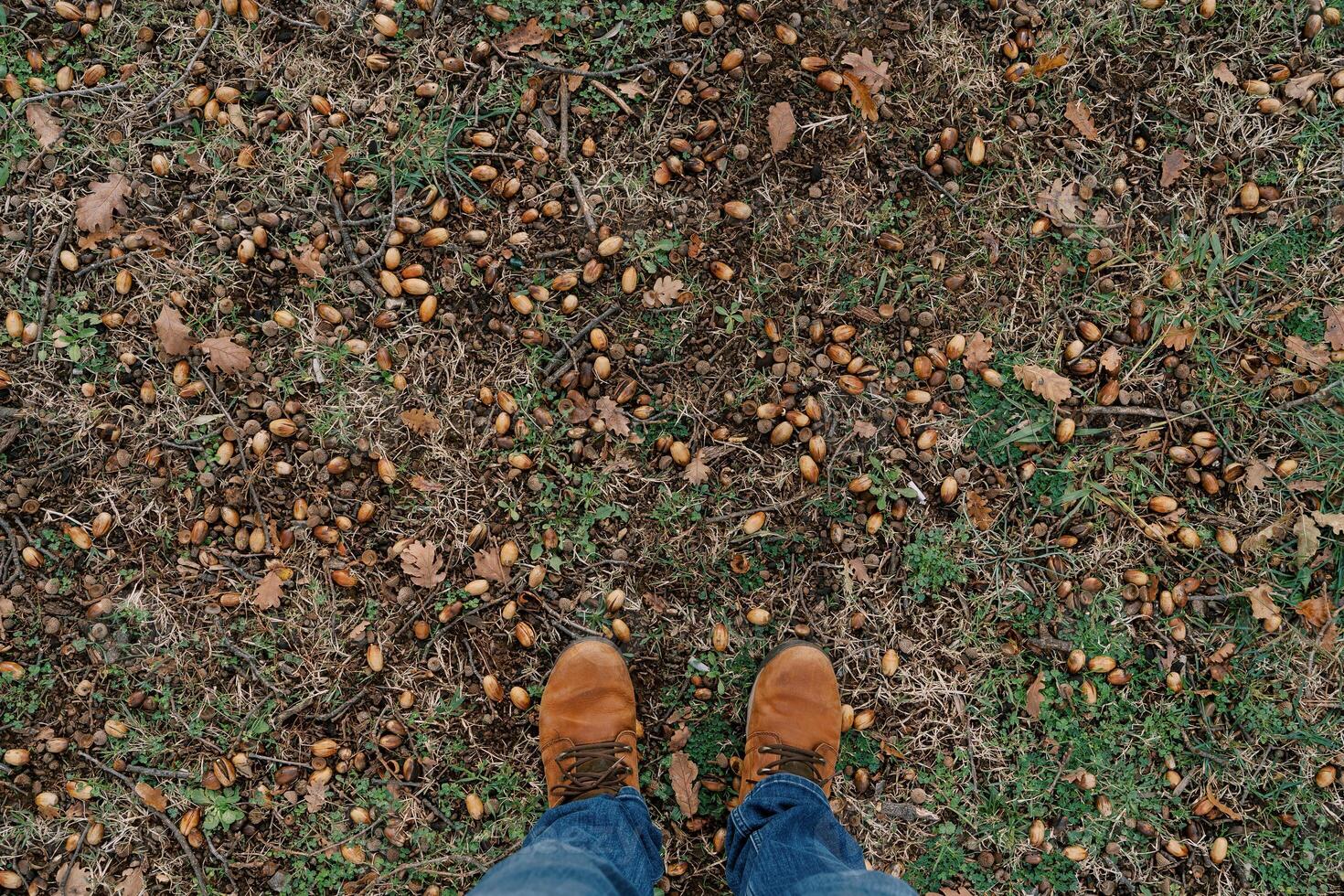 Men feet in brown shoes stand on fallen leaves in green grass. Cropped. Faceless photo