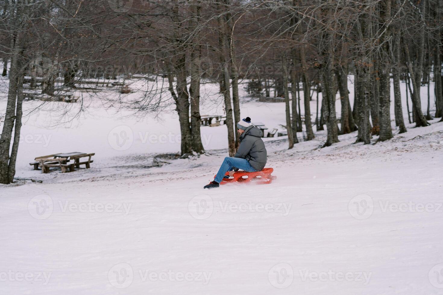 Man in a sleigh drives down a snow-covered hill near the forest. Side view photo
