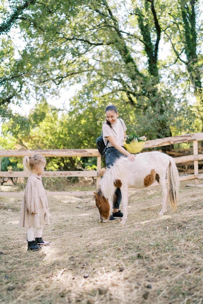 Little girl looks at her mother stroking a pony with a bowl in her hand while standing in the park photo