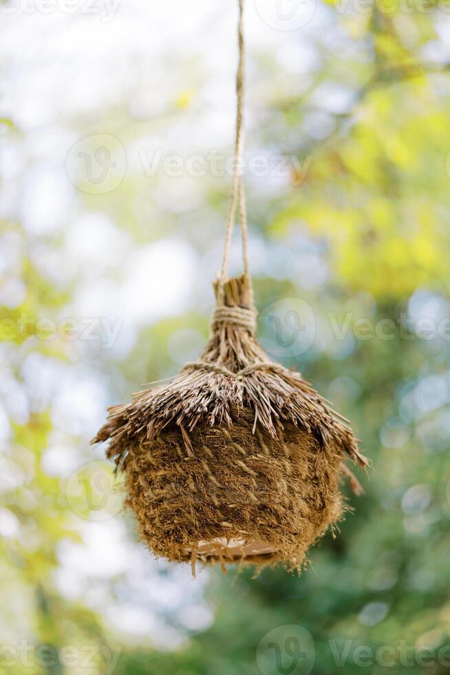 Straw nest with a roof hanging on a rope on a tree branch in the park photo