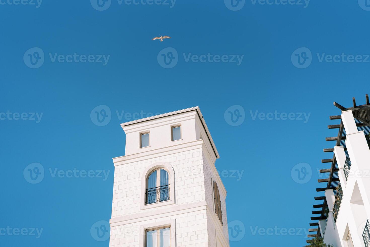 Albatross flies in the blue sky above a tall white building photo