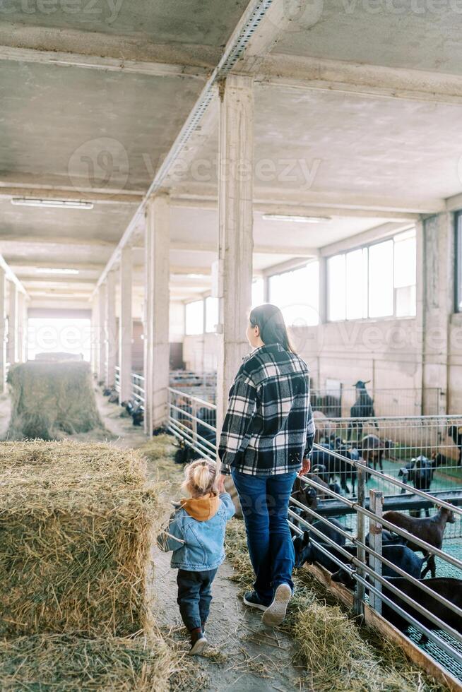 Mom leads a little girl by the hand past the haystacks on the farm photo