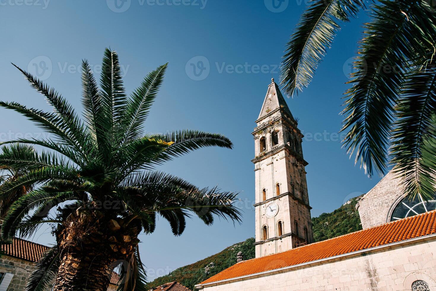View through green palm branches to the high bell tower of the Church of St. Nicholas. Perast, Montenegro photo