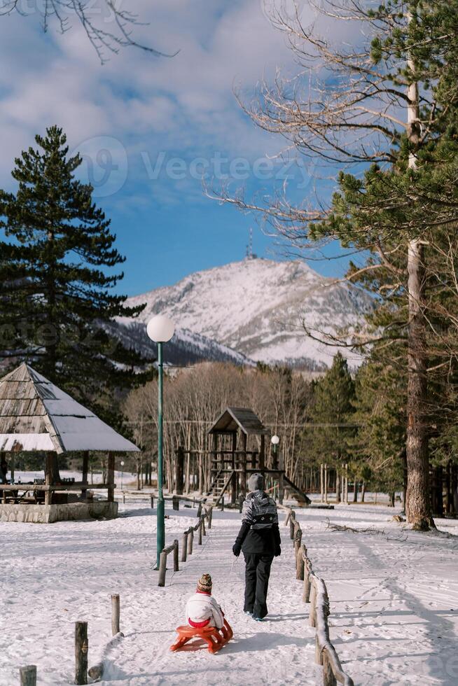 Mom carries a small child on a sled along a snowy path in the park to the playground. Back view photo