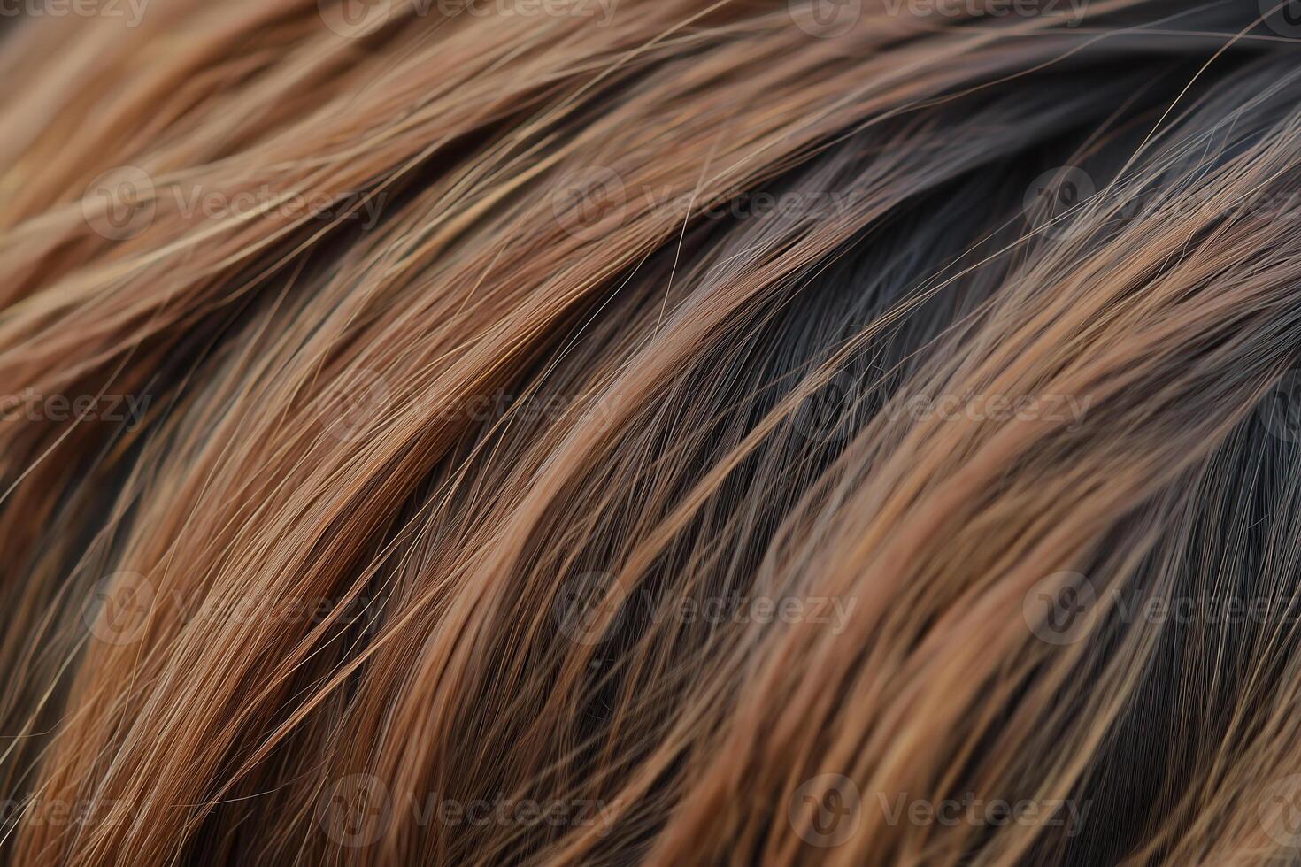 A captivating close-up reveals the rich tones and textures of layered, brunette hair with subtle highlights. photo