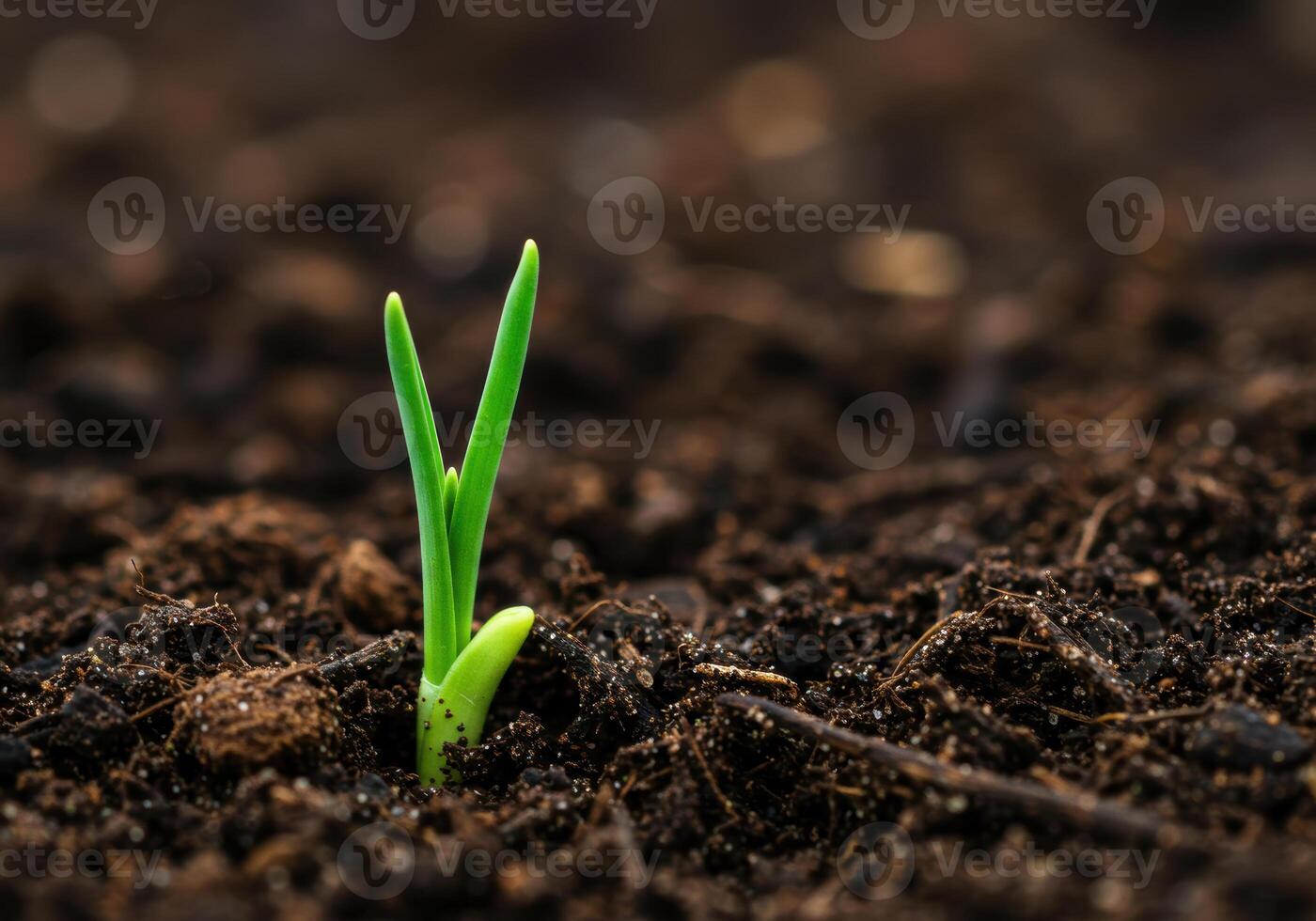 A tiny green seedling pushes through dark earth, a symbol of resilience and fresh starts. photo
