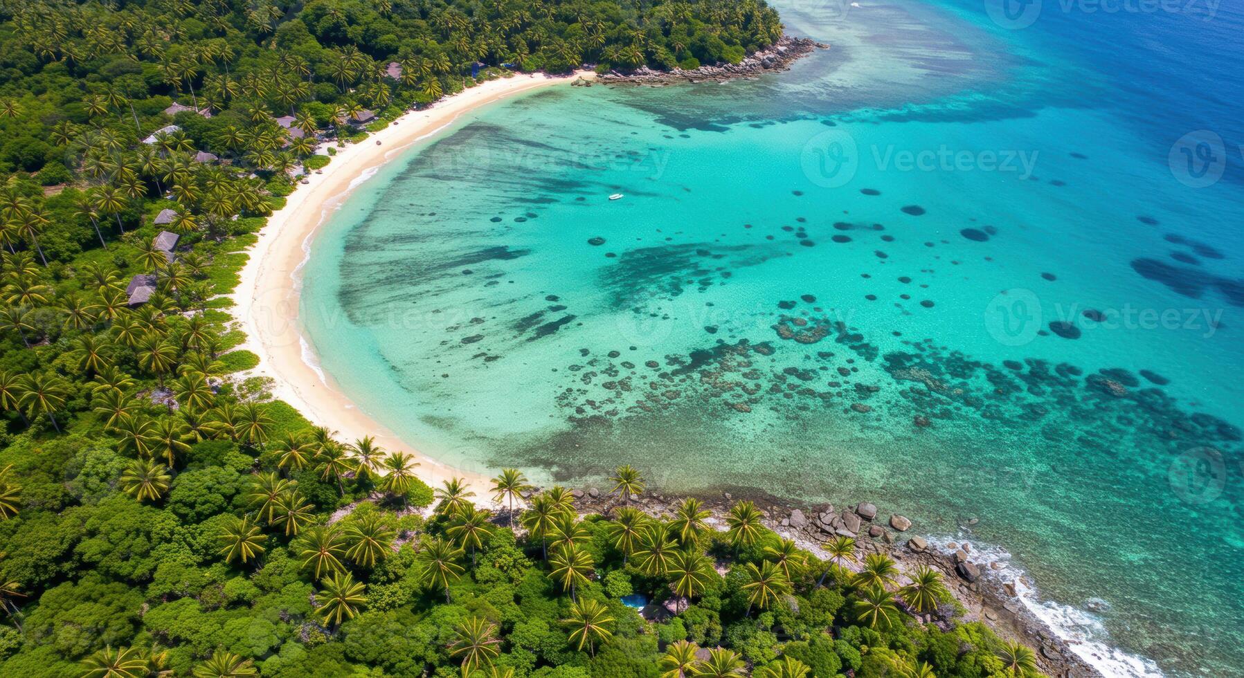 Discover a pristine tropical beach with vibrant turquoise waters and lush palm trees, a tranquil island escape. photo