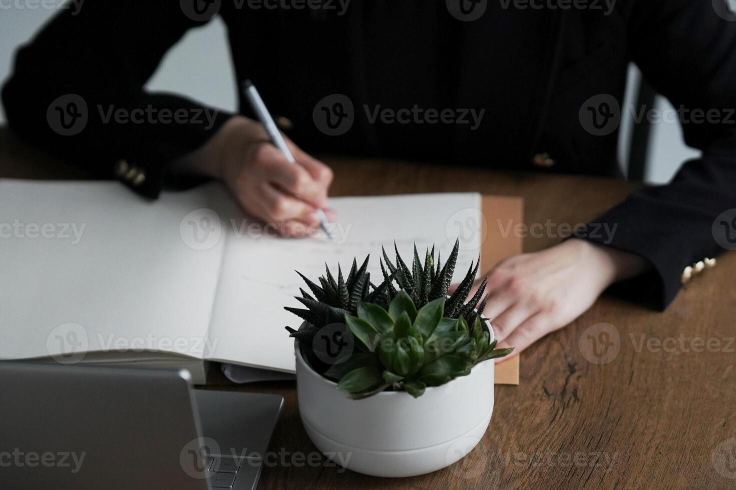 Hands while typing on laptop computer with green plant ahead photo